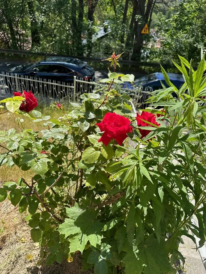 Apartamenty Oaza Spokoju Sopot